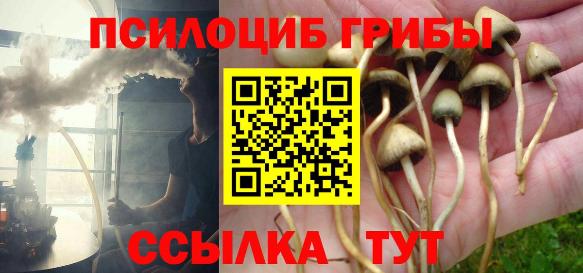 Галлюциногенные грибы мухоморы Ханты-Мансийск